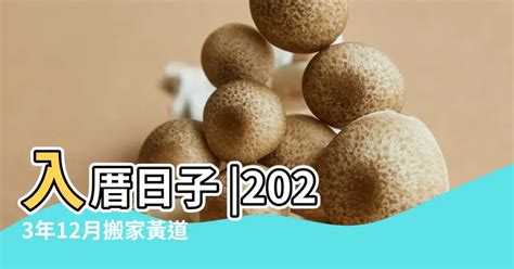 2023入宅安床吉日吉時